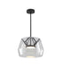 Bethel International 1 Light in Black LED Pendant With A Clear Glass Shade Model: SYM03P17BK