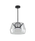 Bethel International 1 Light in Black LED Pendant With A Clear Glass Shade Model: SYM03P17BK