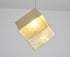 Bethel International 1 Light in Brass Cubed Pendant With A Clear Distorted Glass Shade Model: GL445P8BR