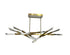 Bethel International 12 Light Dimmable in Satin Brass Stainless Steel LED Chandelier With Clear Snowflake Crystals Model: FER01C60BR