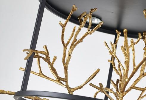 Bethel International 5 Light in Matte Black Pendant With Gold Branch Accents Model: KA01C16G