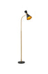 Bethel International in Black and Gold Floor Lamp Model: DU176F62BK