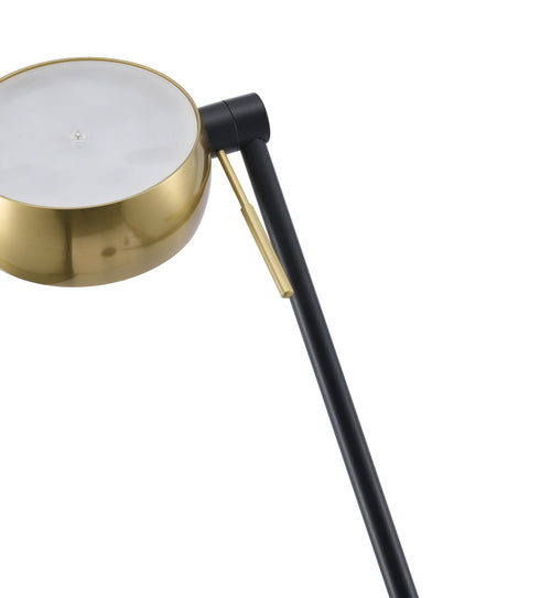Bethel International in Black and Stain Brass LED Floor Lamp Model: MU149F64BR