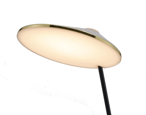 Bethel International in Black and Stain Brass LED Floor Lamp Model: MU153F54BR