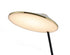 Bethel International in Black and Stain Brass LED Floor Lamp Model: MU153F54BR