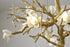 Bethel International in Brass Chandelier Model: CC01C48BR