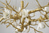 Bethel International in Brass Chandelier Model: CC01C48BR