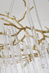 Bethel International in Brass Chandelier Model: CC03C59BR