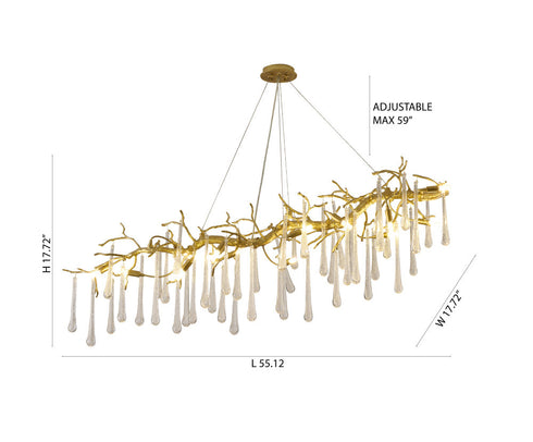Bethel International in Brass Chandelier Model: CC05C55BR