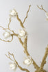 Bethel International in Brass Chandelier Model: CC06C33BR