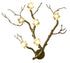 Bethel International in Brass Chandelier Model: CC06C33BR