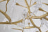 Bethel International in Gold Chandelier Model: IMP39GD