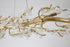 Bethel International in Gold Chandelier Model: IMP53GD