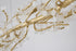 Bethel International in Gold Chandelier Model: IMP53GD