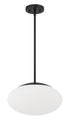 Craftmade Gaze 14 Inch 1 Light Oval Pendant in Flat Black Model: 56894-FB