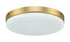 Craftmade Mondo 72 Light Kit Mondo LED Light Kit in Brushed Polished Nickel Model: MNDLK-BNK-LED