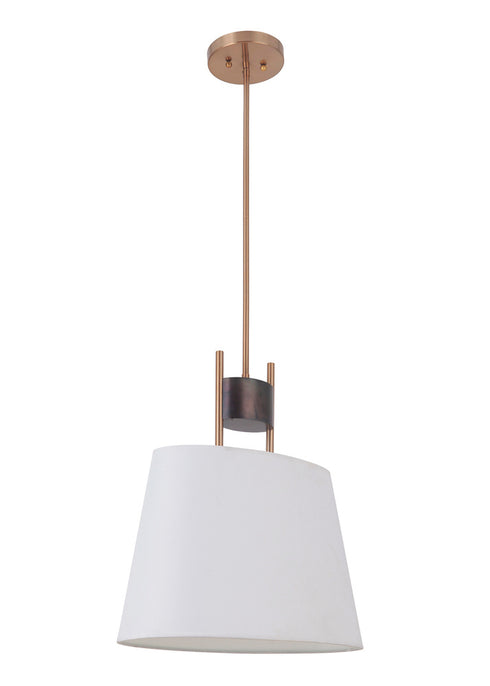 Craftmade Parker 1 Light Pendant in Fired Stee Satin Brass Finish Model: 44491-FSSB
