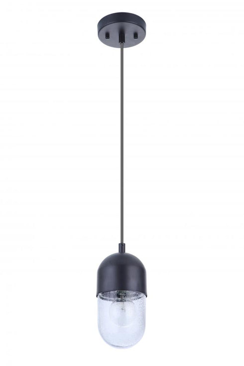 Craftmade Pill 1 Light Mini Pendant in Brushed Polished Nickel Model: 55091-BNK