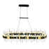 CWI Lighting Aya LED Integrated Pearl Black Chandelier Model: 1592P43-612-RC