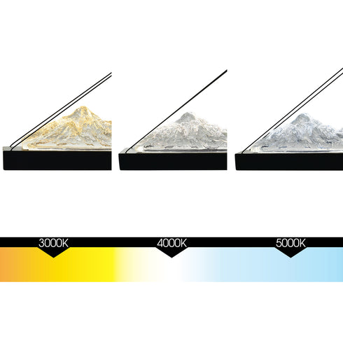 CWI Lighting Himalayas Integrated LED Black Chandelier Model: 1601P48-101