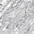 CWI Lighting Maria Theresa 25 Light Up Chandelier With in Chrome Finish Model: 8318P36C-25 (Clear)