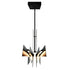 CWI Lighting Solar Powered Solara Integrated LED in Black Chandelier Model: 1717P50-101
