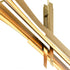 CWI Lighting Solar Powered Solara Integrated LED in Brass Chandelier Model: 1717P72-624