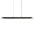 CWI Lighting Valira Integrated LED in Black Chandelier Model: 1586P48-101