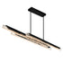 CWI Lighting Valira Integrated LED in Black Chandelier Model: 1586P60-3-101