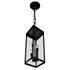 CWI Lighting Windsor 4 Light Black Outdoor Ceiling Light Model: 1695P8-4-101