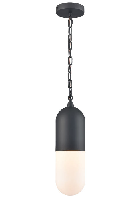 DVI Lighting 1 Light CAPSULE OD 1 Light PENDANT in Black Finish Model: DVP13775BK-OP