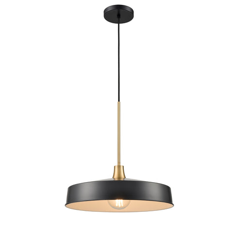 DVI Lighting 1 Light Daisy 16 Inch Pendant in Graphite And Brass Finish Model: DVP46420GR+BR