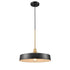 DVI Lighting 1 Light Daisy 16 Inch Pendant in Graphite And Brass Finish Model: DVP46420GR+BR
