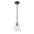 DVI Lighting 1 Light EMMA 1 Light MINI PENDANT in Brass Finish Model: DVP47021BR-CL