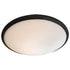 DVI Lighting 1 Light Essex Flush Mount in Buffed Nickle Finish Model: DVP9030BN-OP