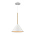 DVI Lighting 1 Light LILY 10 Inch 1 Light PENDANT in Matte White and Brass Finish Model: DVP46110MW+BR