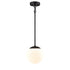 DVI Lighting 1 Light Mackenzie Delta Pendant in Ebony Finish Model: DVP43121EB-OP