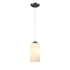 DVI Lighting 1 Light MANITOU MINI PENDANT in Buffed Nickel Finish Model: DVP47121BN-OP