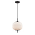 DVI Lighting 1 Light MOUNT PEARL PENDANT in Brass Finish Model: DVP40010BR-RIO