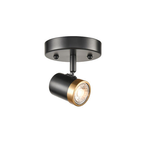 DVI Lighting 1 Light OEIL DE BASE 1 Light SEMI FLUSH in Ebony and Multiple Finishes Finish Model: DVP19981EB+MF