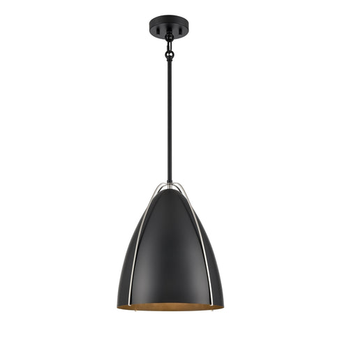 DVI Lighting 1 Light Saguenay Pendant in Ebony and Satin Nickel Finish Model: DVP47310EB+SN