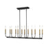 DVI Lighting 12 Light OLIVIA 12 Light LINEAR in Multiple Finishes and Graphite Finish Model: DVP44002MF+GR