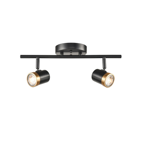 DVI Lighting 2 Light OEIL DE BASE LINEAR TRACK Light in Ebony and Multiple Finishes Finish Model: DVP19985EB+MF