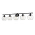 DVI Lighting Andromeda 5 Light Vanity in Brass Finish Model: DVP34755BR-CL
