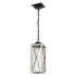 DVI Lighting County Fair Pendant Model: DVP43375BK+BIW-CL