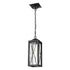 DVI Lighting County Fair Pendant Model: DVP43375BK+BIW-CL