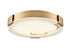 DVI Lighting PETRA 14 Inch LED FLUSH MOUNT in Brass Finish Model: DVP42038BR-BFA