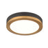 DVI Lighting TEMAGAMI 9 Inch LED FLUSHMOUNT in Brass and Graphite Finish Model: DVP39328BR+GR