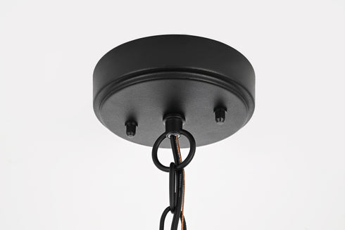 Elegant Lighting 1 Light Amaris 23 inch LED Outdoor Pendant in Black in Black and Clear Finish Model: OD604H23BK