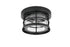 Elegant Lighting 1 Light Carla 10 inch Outdoor Flush Mount in Black in Black and Clear Finish Model: OD614F10BK